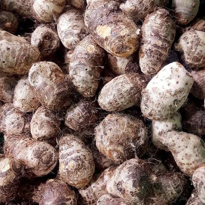 Khoai sọ là loại củ dân dã nhưng lại sở hữu giá trị dinh dưỡng đáng kinh ngạc. Ảnh minh họa