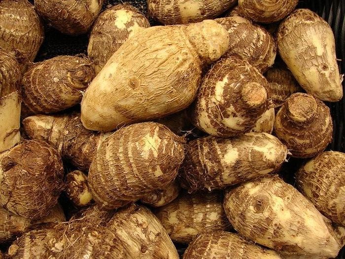 Nhờ hàm lượng canxi tương đối cao, khoai sọ là thực phẩm giúp bổ sung khoáng chất này một cách tự nhiên. Ảnh minh họa