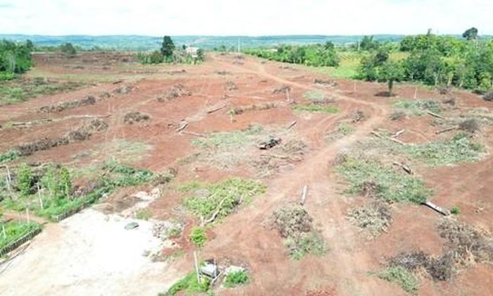 Nhiều đoạn trên cao tốc Quy Nhơn - Pleiku đã được bàn giao mặt bằng sạch.