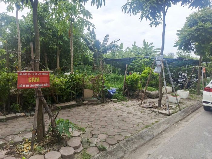 Khu đất quy hoạch chợ Bằng A rộng hơn 6.000m² vẫn nằm "bất động". Ảnh TA.