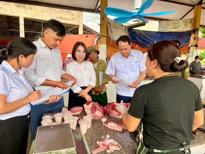 Đoàn công tác kiểm tra tại chợ Ba Thá, thôn Phù Yên, xã Ứng Thiên. Ảnh: Trọng Hà