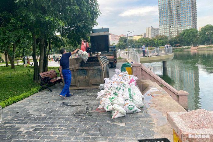 Cá chết tiếp tục được thu gom. Ảnh: LT