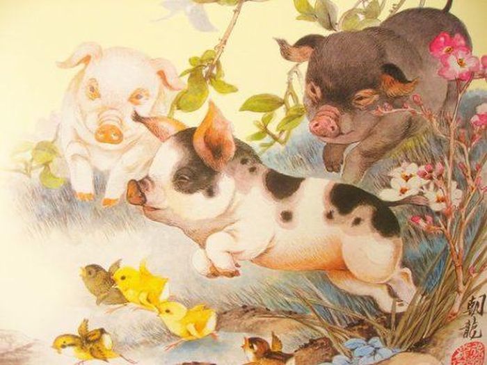 7 ngày tới, con giáp Hợi có cơ hội tận hưởng nhiều niềm vui liên quan đến ăn uống, giải trí và du lịch. Ảnh minh họa