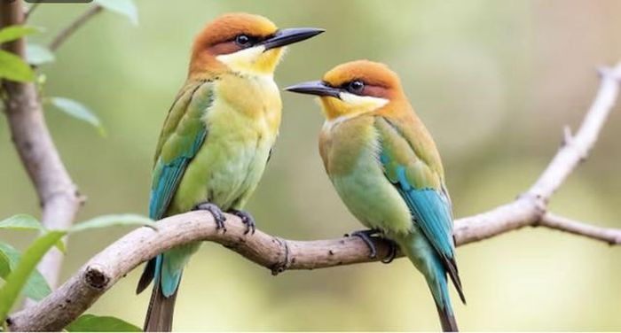 Nhờ tư duy linh hoạt và óc sáng tạo, người sinh vào tháng 5 Âm lịch thường tìm được hướng đi mới trong công việc cũng như kinh doanh. Ảnh minh họa