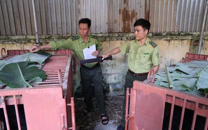 Chuyển giao cá thể gấu nuôi nhốt về trung tâm cứu hộ.