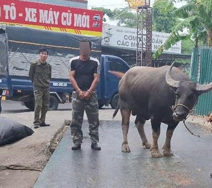 N.V.T và tang vật vụ án. Ảnh: Công an tỉnh Phú Thọ.