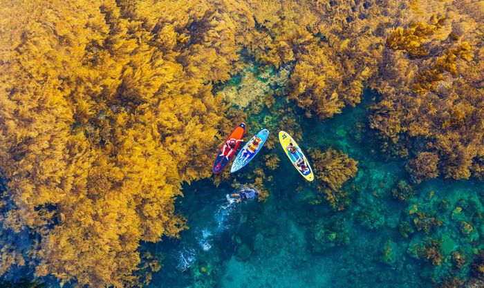 Du khách chèo SUP trên biển Hòn Khô. Ảnh: Hoàng Dưỡng