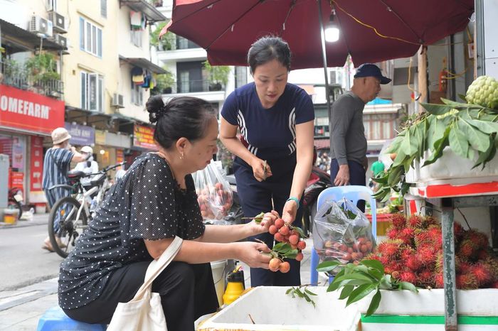 Người dân tỉ mỉ lựa chọn từng loại hoa quả tươi ngon để chuẩn bị mâm cúng gia tiên trong ngày Đoan Ngọ.