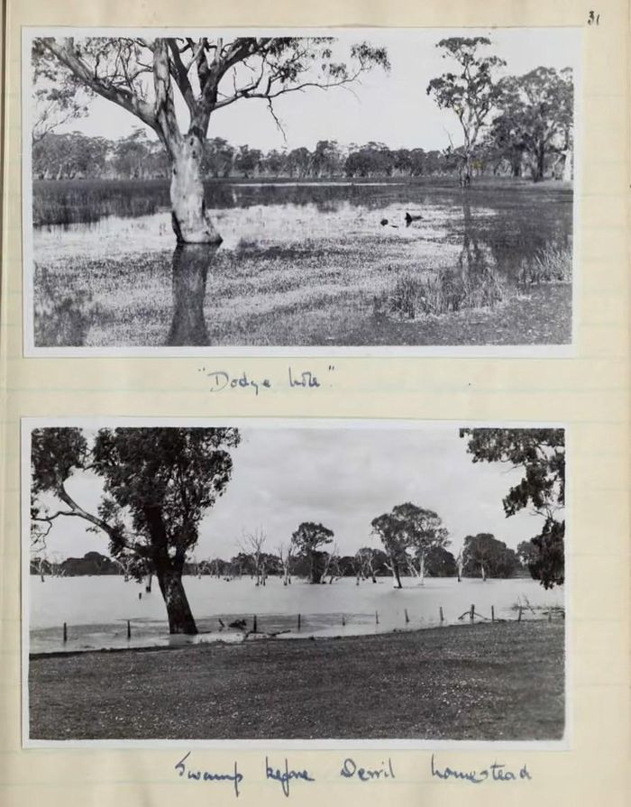 Những trang viết tay từ nhật ký thực địa nghiên cứu chim chóc ở Australia giai đoạn 1947-1957 của A. Graham Brown. Ảnh:BHL