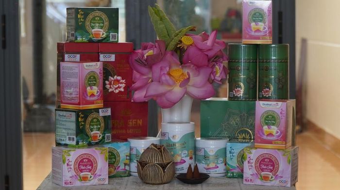 Các sản phẩm từ sen đạt chứng nhận OCOP của Công ty TNHH Sản xuất và thương mại Hương Sen Đồng Tháp (xã Thanh Bình). Ảnh: Nhựt An - TTXVN
