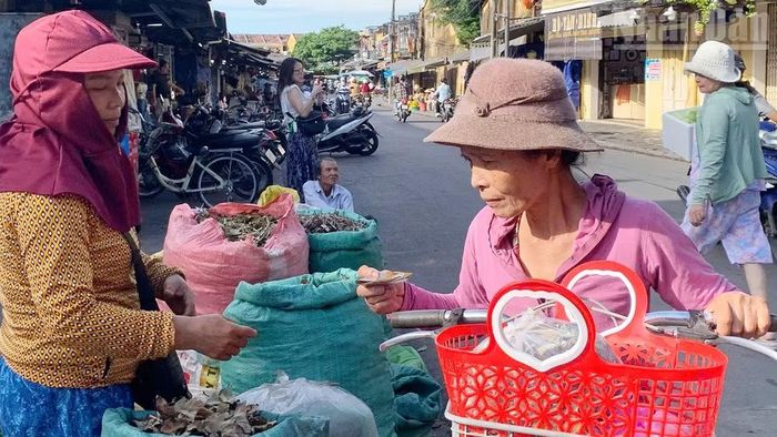Người dân mua lá thuốc dịp Tết Đoan Ngọ.