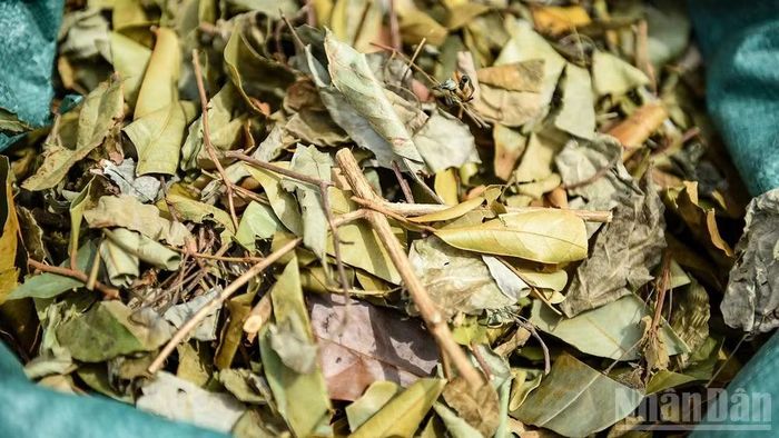 Chợ có đủ thức lá tươi và khô để người dân chọn lựa.