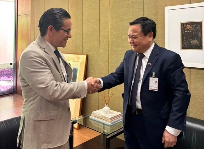 Đại sứ Bùi Văn Nghị và Đại sứ Marco Antonio Nakata, Giám đốc Viện Guimaraẽs Rosa (GRI) về nghệ thuật tranh Đông Hồ của Việt Nam. (Ảnh do Đại sứ quán Việt Nam tại Brazil cung cấp)