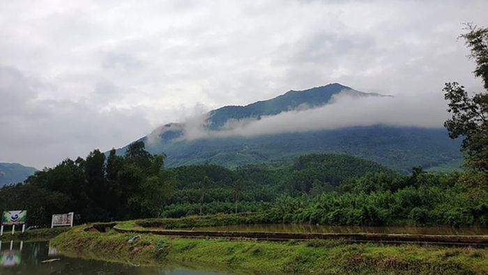 Hòn Tàu