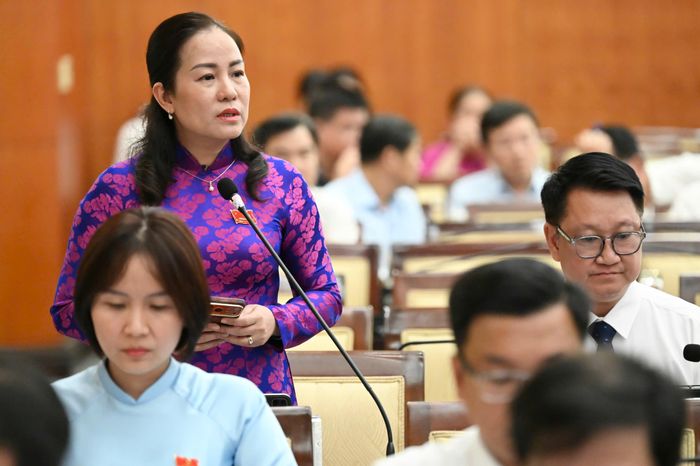  ĐB Đỗ Thị Minh Quân thảo luận tại hội trường. Ảnh: VIỆT DŨNG 