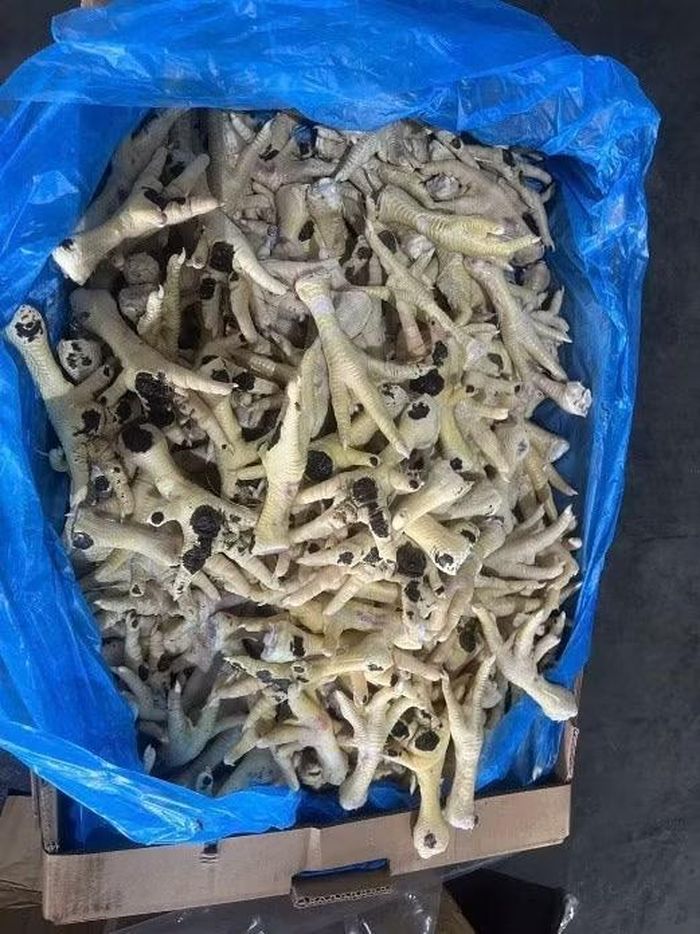 Một lượng lớn chân gà nhập lậu đã được tuồn ra thị trường tiêu thụ.