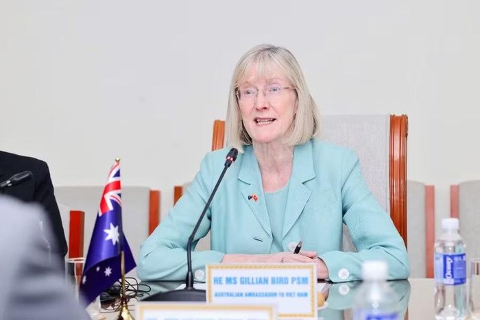 Đại sứ Gillian Bird trao đổi tại buổi tiếp.
