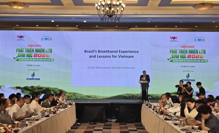 Brazil được xem là hình mẫu tiêu biểu khi duy trì tỷ lệ pha trộn ethanol bắt buộc khoảng 27% trong xăng và đang tiếp tục nghiên cứu nâng lên 30%.