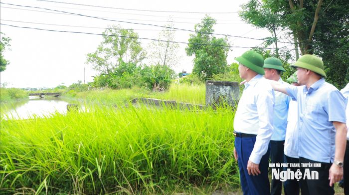 Chủ tịch UBND tỉnh Võ Trọng Hải nghe báo cáo về tình hình bơm nước phục vụ cho nông nghiệp tại Trạm bơm 16A thuộc Công ty TNHH MTV Thủy lợi Nam Nghệ An. Ảnh: Thành Duy