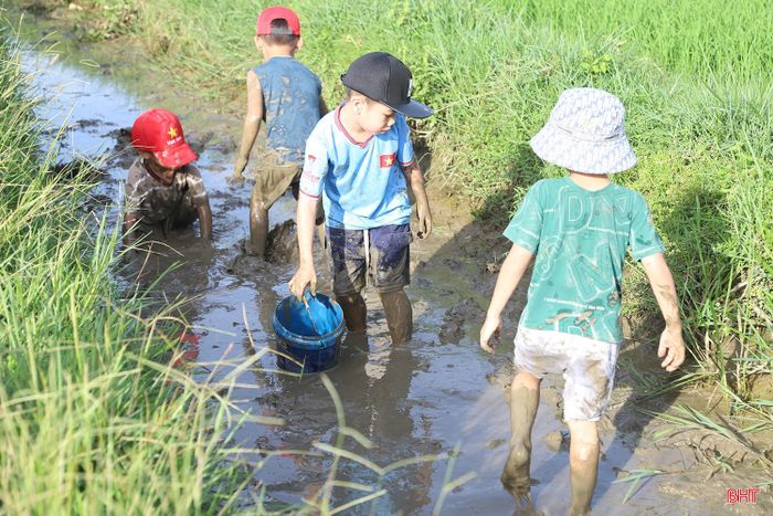  Giữa tiếng cười giòn giã vang vọng khắp cánh đồng, em Nguyễn Hiền Lương (10 tuổi, trú tại thôn Bình Minh, xã Cẩm Bình) hào hứng chia sẻ: "Mấy ngày nghỉ hè, con rất thích được theo bố mẹ ra đồng. Ở đây con được tự tay tập bắt cá, lội bùn cùng các bạn nên rất vui. Những buổi đi đồng như thế này giúp con hiểu được sự vất vả của bố mẹ để làm ra hạt gạo, con thấy yêu quê hương mình hơn". 