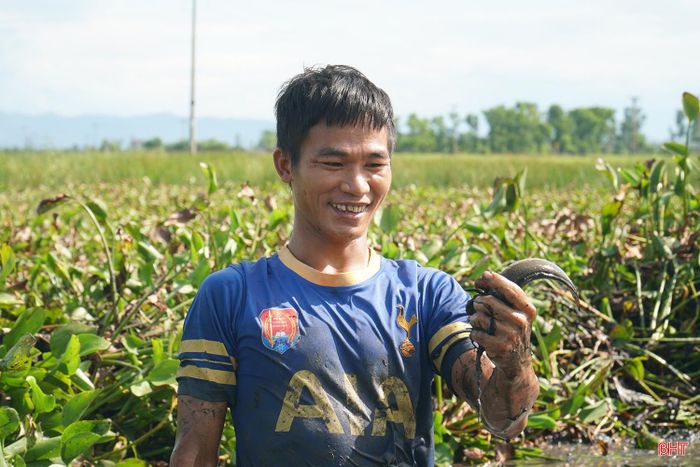 Không phải lần úp nơm nào cũng mang lại kết quả. Người bắt cá thường phải kiên trì di chuyển qua nhiều vị trí khác nhau mới tìm được nơi có cá trú ẩn. Sau hành trình len lỏi qua những vùng trũng ven ruộng, những con cá đồng đầu tiên bắt được mang lại niềm vui cho người dân.