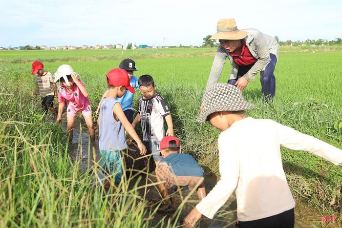 Việc bố mẹ chủ động đưa con trẻ cùng ra đồng lội bùn bắt cá đã mở ra một không gian trải nghiệm thực tế đầy bổ ích. Qua đó, giúp các em học sinh được hòa mình vào thiên nhiên, hiểu hơn về giá trị của lao động.