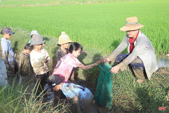  Cánh đồng quê lúc này không chỉ giúp các em rèn luyện thể chất, khám phá thế giới tự nhiên một cách sống động, mà còn gieo vào lòng con trẻ những bài học về giá trị của lao động và tình yêu tha thiết với mảnh đất quê hương. 