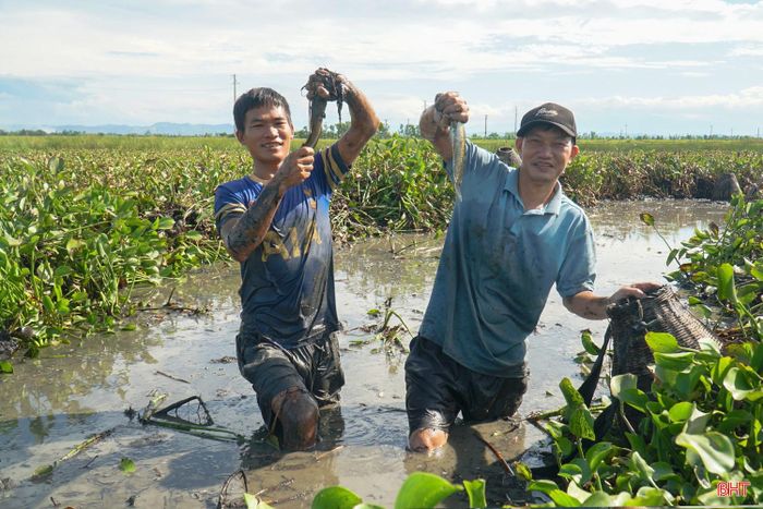  Gắn bó với việc bắt cá đồng nhiều năm, anh Đậu Văn Mân (bên trái) xã Mai Phụ cho hay: "Bắt cá đồng tưởng đơn giản nhưng cũng cần kinh nghiệm. Muốn có cá phải tìm đúng chỗ, nhất là những khu vực nước lặng, nhiều bèo và ít người qua lại. Quan sát kỹ mặt bùn, dòng nước hay dấu vết cá quẫy là có thể nhận biết nơi cá đang kiếm ăn hoặc trú ẩn". 