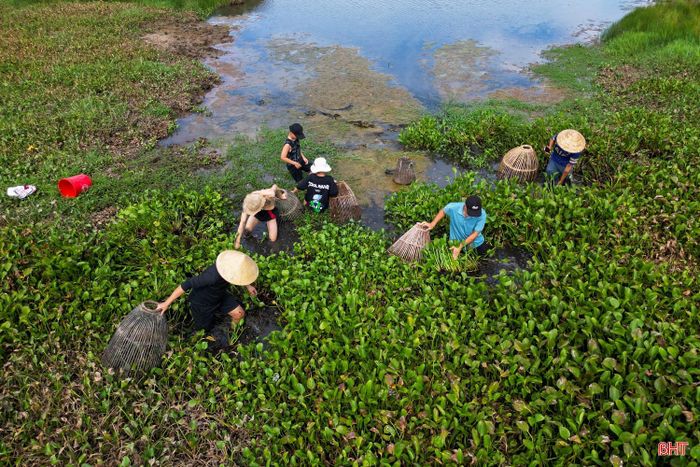 Được đan thủ công từ tre, chiếc nơm là vật dụng không thể thiếu trong mỗi chuyến bắt cá đồng của người dân nông thôn. Loại dụng cụ này đặc biệt phù hợp với các vùng nước nông, bùn lầy ven đồng.