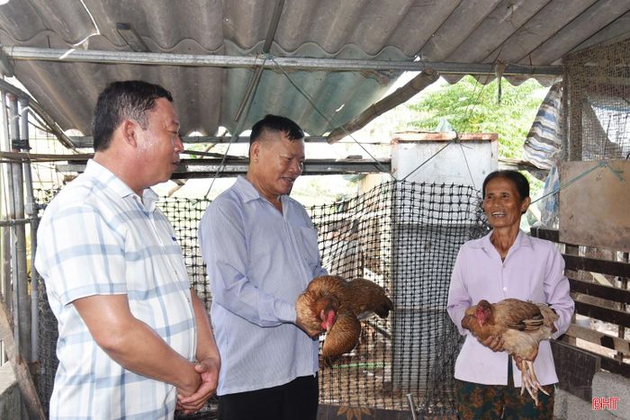 Bà Phan Thị Loan ở thôn Thống Nhất phấn khởi vì đàn gà sinh kế phát huy tốt hiệu quả.