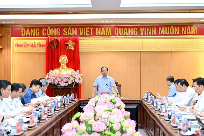 Ban Thường vụ Tỉnh ủy Hà Tĩnh tổ chức Hội nghị lần thứ 31 để cho ý kiến về tình hình kinh tế - xã hội 6 tháng đầu năm và các nội dung thuộc thẩm quyền.