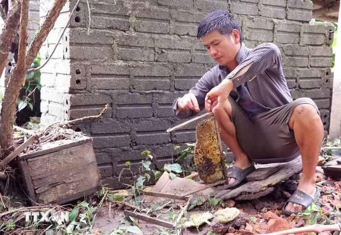 Người dân tranh thủ dọn dẹp để sớm khôi phục sinh hoạt. (Ảnh: Đức Thọ/TTXVN)