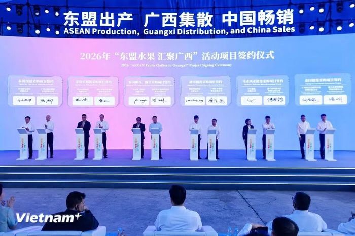 Các đại biểu tham gia ký kết dự án “Hoa quả ASEAN hội tụ tại Quảng Tây” năm 2026. (Ảnh: Công Tuyên/Vietnam+)