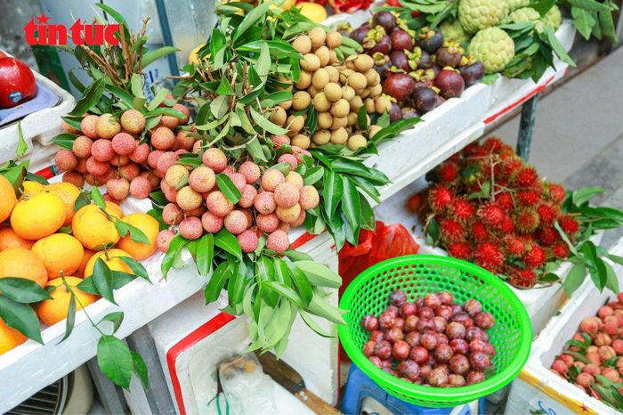 Các loại trái cây cũng được bày bán đa dạng, phong phú. Loại hoa quả đắt hàng nhất trong ngày này là mận, vải và nhãn.