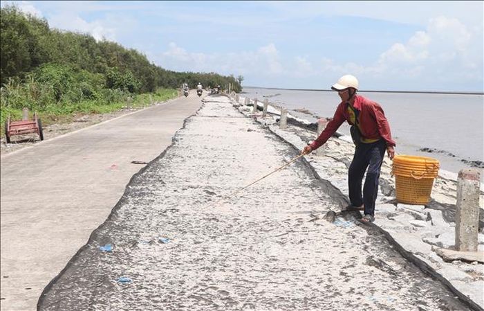 Con ruốc sau khi được khai thác sẽ được ngư dân phơi nắng, sơ chế.