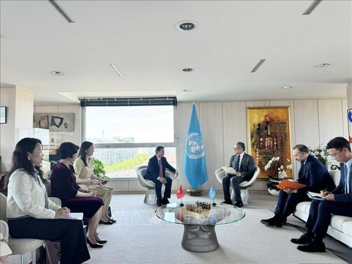 Thứ trưởng Ngô Lê Văn, Chủ tịch UBQG UNESCO Việt Nam gặp làm việc với Tổng Giám đốc UNESCO Khaled El-Enany. Ảnh: TTXVN phát