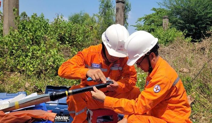 Lịch cắt điện Đồng Tháp ngày mai 20/6 cập nhật mới nhất. Nguồn ảnh: PC Đồng Tháp