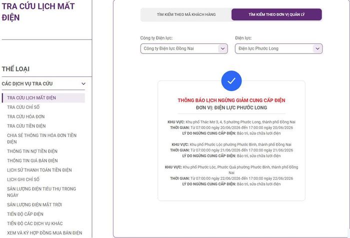 Lịch cắt điện Đồng Nai cập nhật tại Điện lực miền Nam. Ảnh: BNEWS