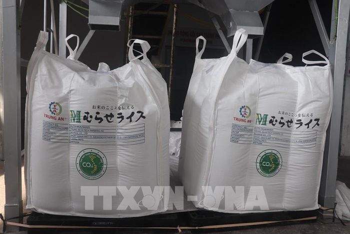 Lô gạo Japonica được chứng nhận "Gạo Việt xanh phát thải thấp" xuất khẩu vào thị trường Nhật Bản. Ảnh: Thu Hiền - TTXVN