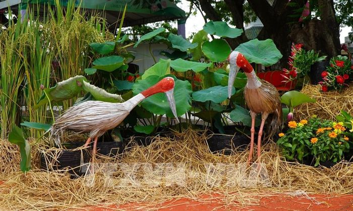 Tiểu cảnh trang trí tại Lễ hội sen Đồng Tháp với mô hình sếu đầu đỏ, lúa và sen. Ảnh: Nhựt An - TTXVN