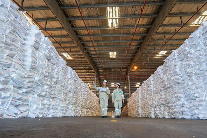 PVFCCo Phú Mỹ là doanh nghiệp có năng lực tài chính, hiệu quả hoạt động và uy tín cao trên thị trường. Ảnh: Bích Hồng/Bnews/vnanet.vn