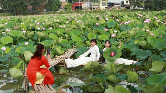 Cảnh sắc thiên nhiên khiến du khách thích thú khi đến tham quan đầm sen. Ảnh: báo Bắc Ninh