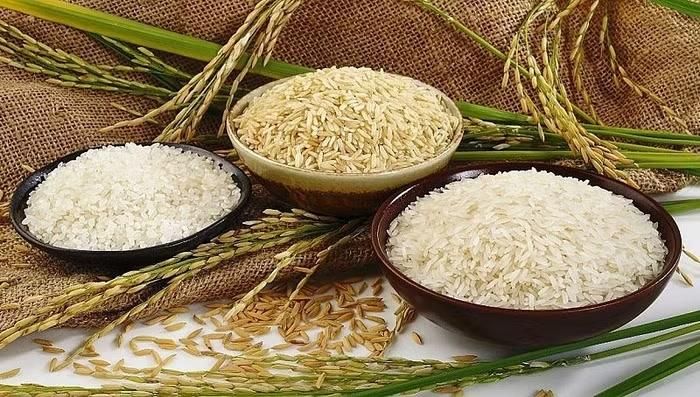 Giá lúa gạo trong nước ít biến động