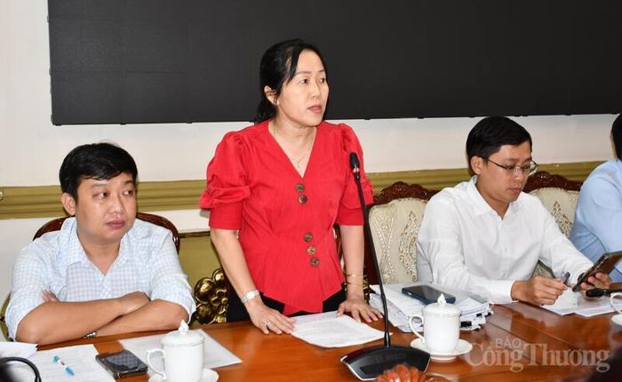 Đại diện các sở của TP. Hồ Chí Minh báo cáo với lãnh đạo Bộ Công Thương về tình hình triển khai thực hiện các dự án lưới điện thuộc Quy hoạch điện VIII điều chỉnh.