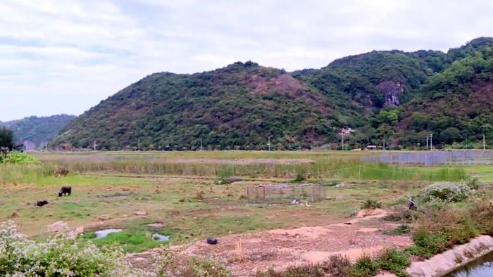 Dự án khu đô thị du lịch dịch vụ khoáng nóng và sân golf quốc tế Xuân Đám dự kiến đóng góp hơn 8.959 tỷ đồng tiền sử dụng đất.