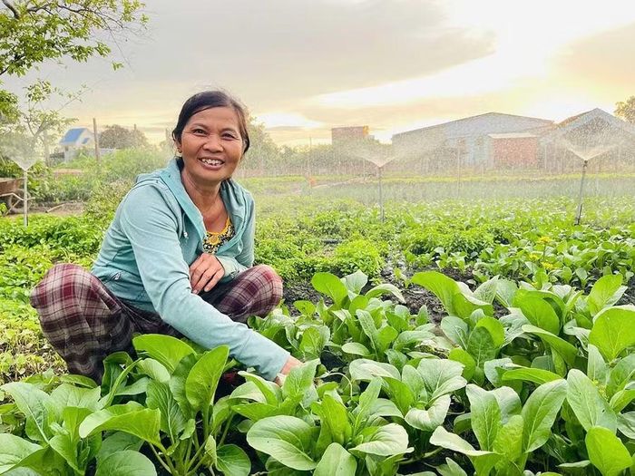  Bà Mai Thị Mười (tổ dân phố 8, xã Phú Thiện) chăm sóc vườn rau của gia đình. Ảnh: Vũ Chi 