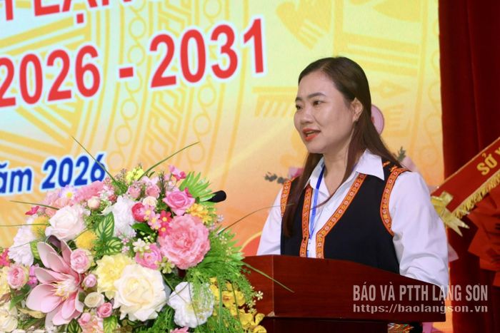 Đại biểu tham luận tại đại hội