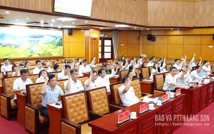 Các đại biểu biểu quyết thông qua nghị quyết