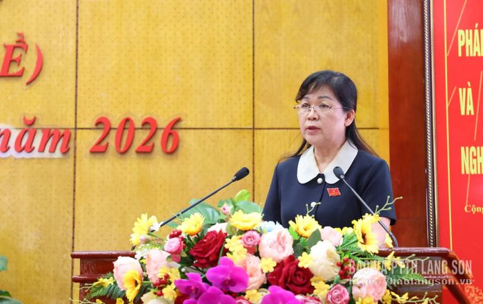 Lãnh đạo Sở Nội vụ thuyết trình dự thảo nghị quyết của HĐND tỉnh tại kỳ họp