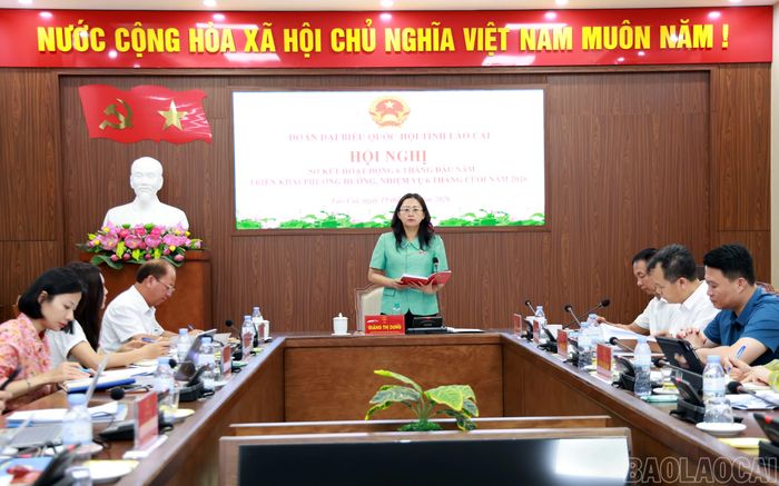 Đồng chí Giàng Thị Dung - Phó Bí thư Tỉnh ủy, Trưởng Đoàn đại biểu Quốc hội tỉnh kết luận hội nghị.